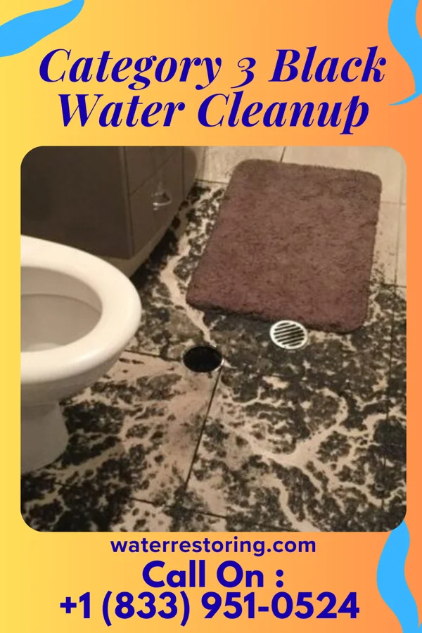 Category 3 Black Water Cleanup in Guernsey, WY